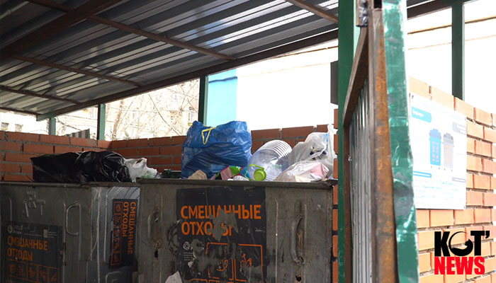 Коронавирус против раздельного сбора мусора