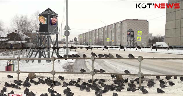 Дело Рогатого продолжает жить?