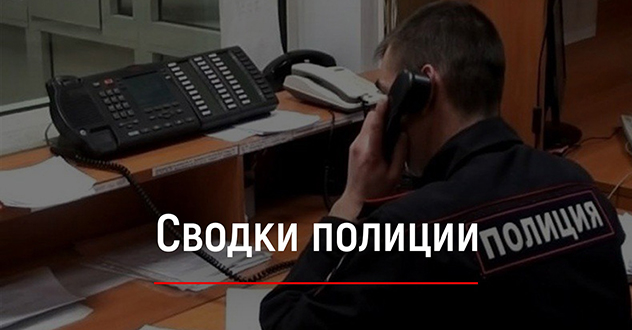 Сводки полиции
