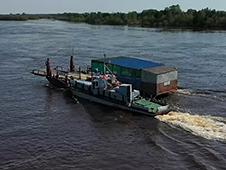 Кот из дома – мыши в пляс