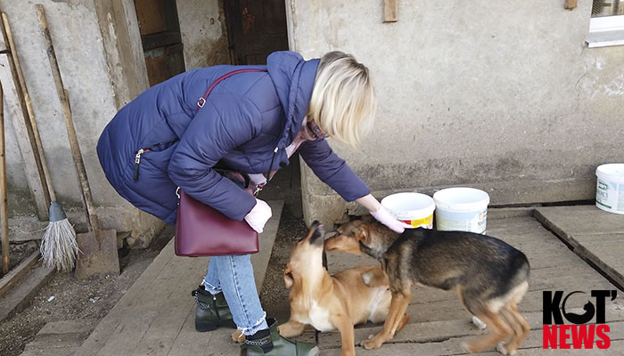 Режим самоизоляции не отменяет волонтёрскую деятельность