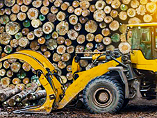 В Архангельской области возбуждено уголовное дело по факту контрабанды стратегически важных ресурсов