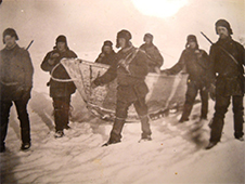 Тюлень и Мезень