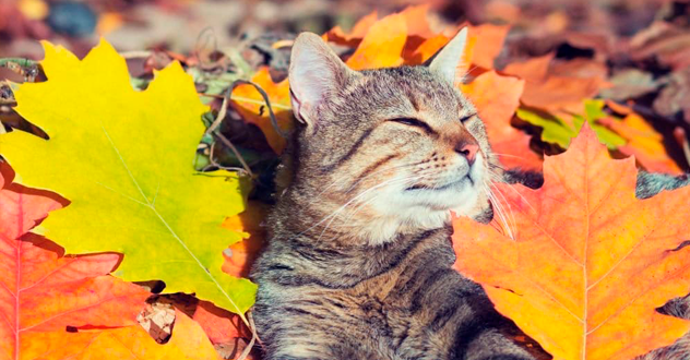 Изменения с октября