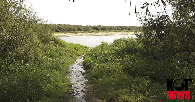Шипицыно на грани экологической катастрофы: канализация стекает прямо в Северную Двину