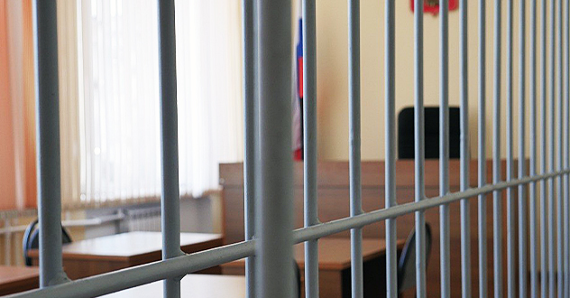 Жителя г. Новодвинска будут судить за жестокое обращение с животным, повлекшее его гибель