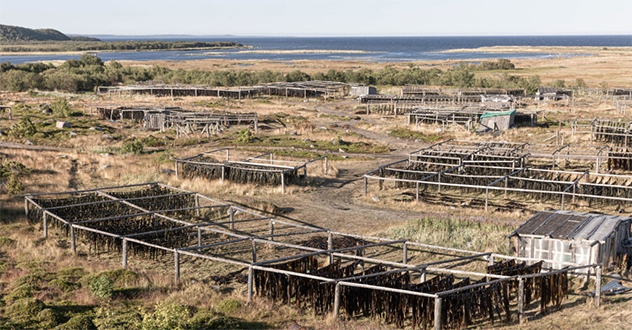 Убийство на соловках