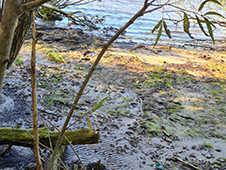 В Архангельске проведена проверка сбрасываемых вод в Северную Двину