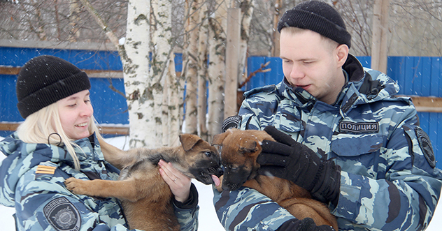 В Центре кинологической службы УМВД России по Архангельской области — пополнение