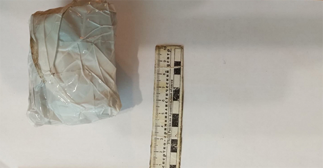 В Северодвинске сотрудниками полиции задержана подозреваемая в покушении на незаконный сбыт наркотических средств