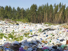 Прокурор Пинежского района через суд потребовал ликвидировать свалку, расположенную на землях лесного фонда