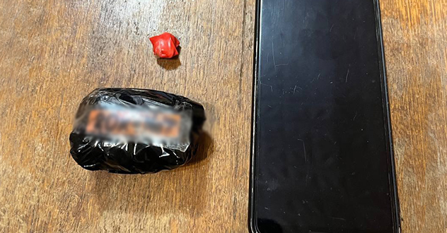 Полицейскими города Архангельска задержана подозреваемая в покушении на незаконный сбыт наркотических средств