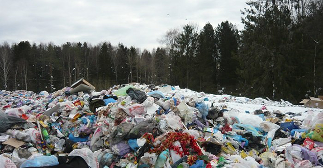 По результатам вмешательства прокуратуры области ликвидирована несанкционированная свалка в п. Плесецк