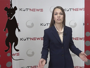 Все общественные территории равны, но некоторые равнее (с)