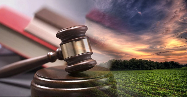 Органами прокуратуры области выявлено свыше 700 нарушений земельного законодательства