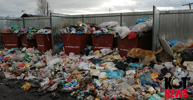 Нам всем показалось. На самом деле в Шипицыно идеальная чистота