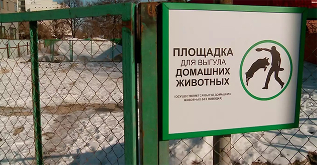 Архангельской межрайонной природоохранной прокуратурой выявлены нарушения законодательства в сфере обращения с животными