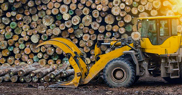 В Архангельской области возбуждено уголовное дело по факту контрабанды стратегически важных ресурсов