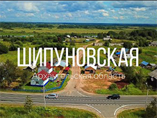 По материалам проверки прокуратуры Шенкурского района возбуждено уголовное дело по факту служебного подлога