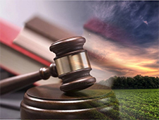 Органами прокуратуры области выявлено свыше 700 нарушений земельного законодательства