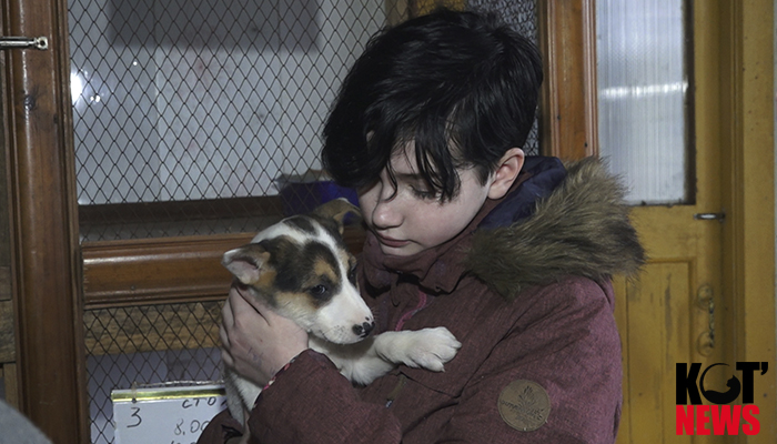 В опеке нуждаются не только люди, но и животные