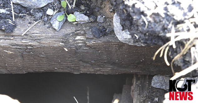 Во дворах Котласа новый асфальт по нацпроекту напоминает песок