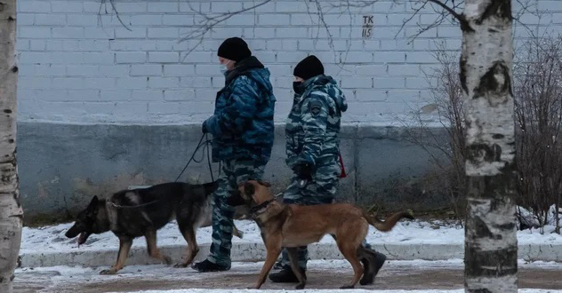 Днем 24 февраля в ряде школ столицы Поморья вновь пришлось прервать занятия из-за сообщений о минировании.