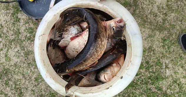 Красноборскими полицейскими выявлен факт незаконной добычи водных биологических ресурсов