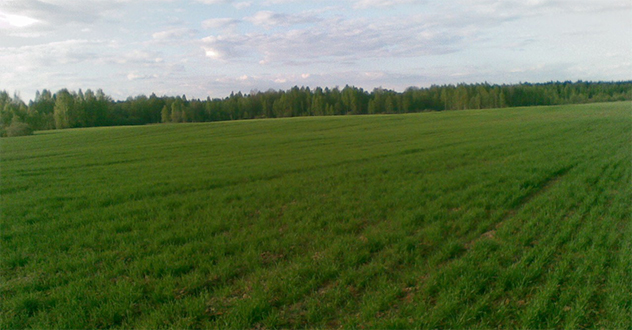 На 219,9 га земель сельскохозяйственного назначения оформлено право  муниципальной собственности