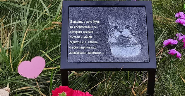 Живодеры из Северодвинска продолжат отбывать наказание в тюрьме