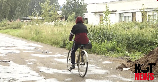 Благоустройство Шипицыно у главы преимущественно только на бумаге