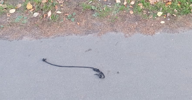 Вступил в законную силу приговор суда по делу о покушении на жизнь ребенка