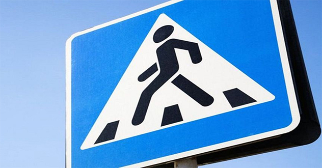 Профилактическое мероприятие «Внимание - пешеход!»