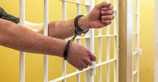 Житель областного центра осужден за незаконное выращивание конопли