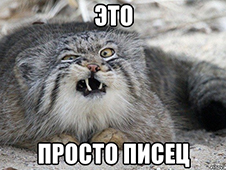 Сколько стоит молчание СМИ?