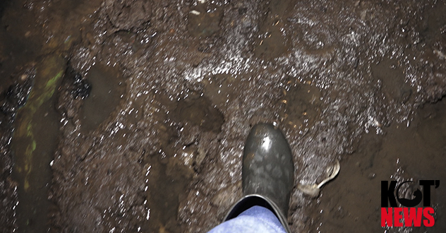 Дом на Кирова, 75 уже несколько месяцев тонет в фекалиях