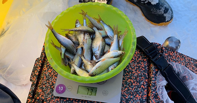 Любительские соревнования по рыбной ловле на мормышку в Котласе