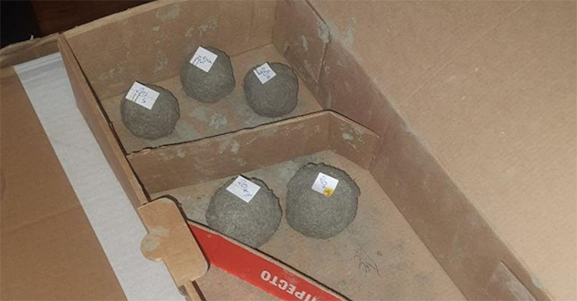 В Архангельске полицейские изъяли почти 1,3 кг наркотика, предназначенного для сбыта