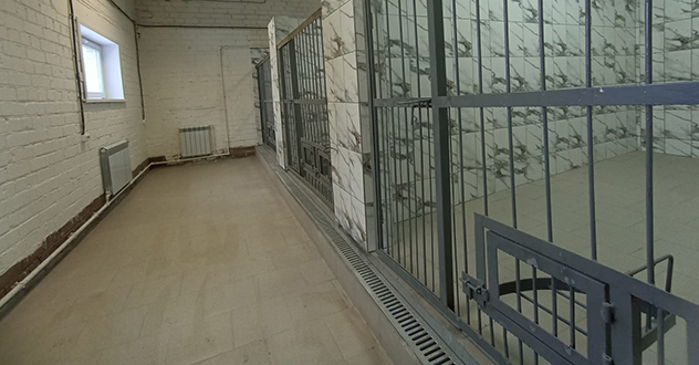 Первые восемь щенят появились в новом отделении племенного питомника в УФСИН