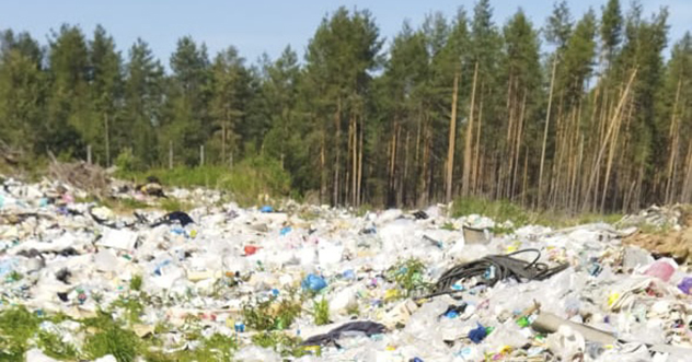 Прокурор Пинежского района через суд потребовал ликвидировать свалку, расположенную на землях лесного фонда
