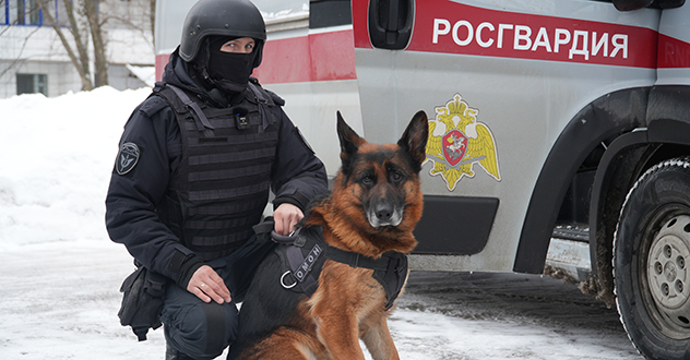 Служебная собака Росгвардии помогла обнаружить схрон с тротилом в Архангельской области