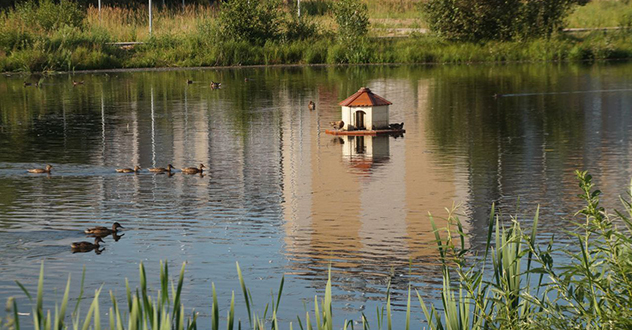 В Коряжме завершается благоустройство территории у пруда