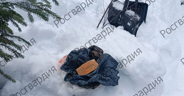 Служебная собака Росгвардии помогла обнаружить схрон с тротилом в Архангельской области