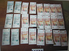 Сотрудниками полиции города Коряжмы задержана подозреваемая в квартирной краже