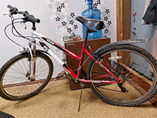 Сотрудниками полиции Архангельской области раскрыты сразу две кражи велосипедов