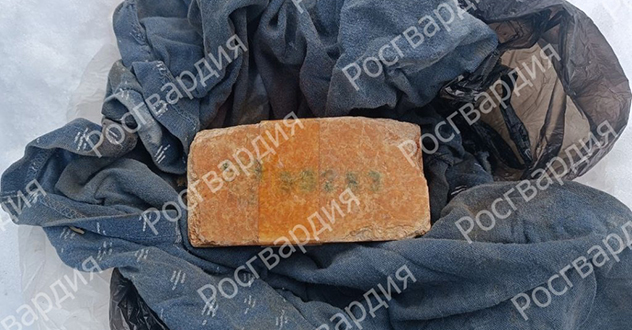 Служебная собака Росгвардии помогла обнаружить схрон с тротилом в Архангельской области