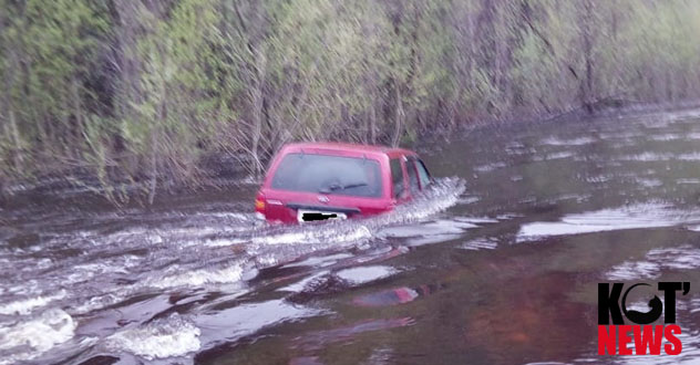 Хотели показать детям, как разлилась река и чуть не погибли