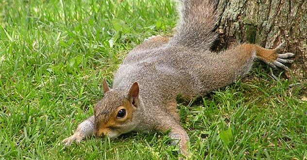 Кампусу быть! Причина отставки Елены Кудряшовой