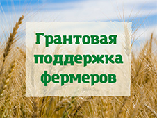 Вынесен приговор о мошенничестве с денежными средствами, выделенных в качестве грантов