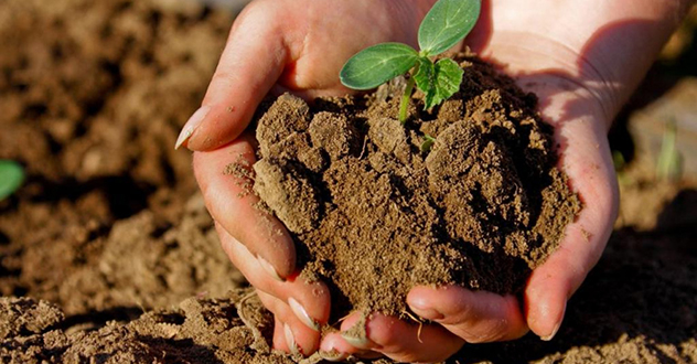 Результаты исковой работы прокуратуры Архангельской области в сфере землепользования